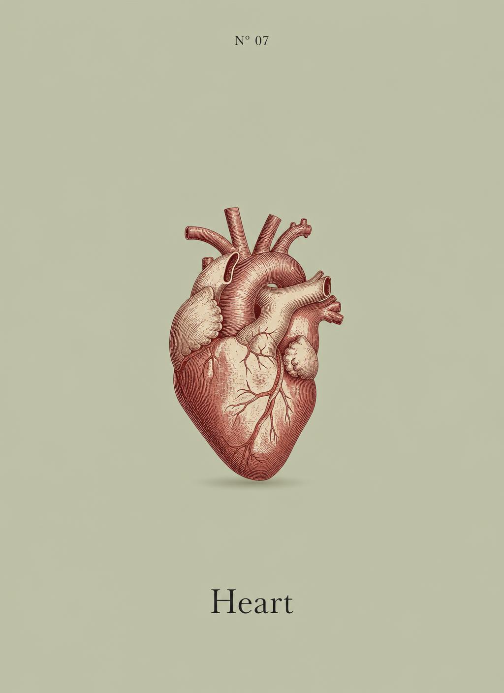 Preview: Heart poster N°07